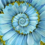 The Spiritual Laws of Life